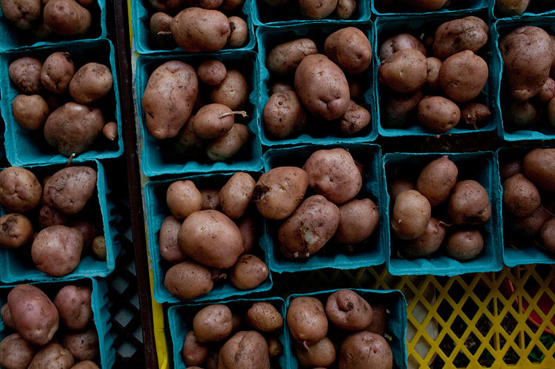 A grid of “fresh-dug” potatoes laid out for CSA members. Stoney Lonesome also produces string beans, squash, zucchini, tomatoes, cucumbers, red onions, fennel …